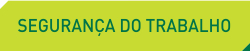 segurança do trabalho.png