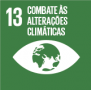 13 - Combate às Alterações Climáticas.png