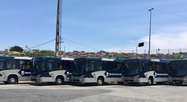 Mais de quatro ônibus da nova frota enfileirados no pátio. 