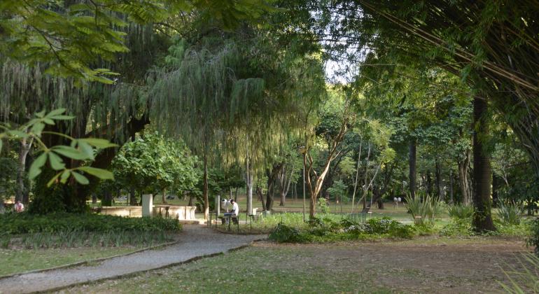 Muitas árvores, gramado e verde no caminho próximo ao lago do Parque Municipal Américo Reneé Giannetti, durante o dia