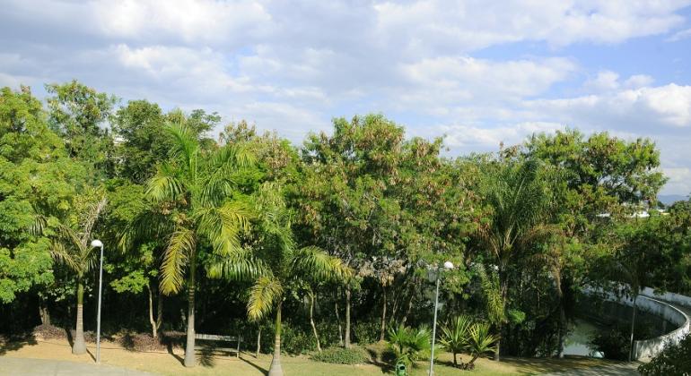 Muitas árvores do parque Primeiro de Maio; à direita, uma passarela durante do dia