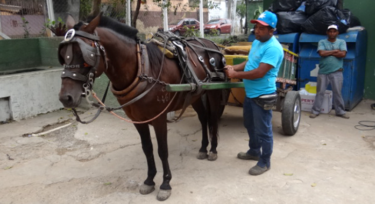 Carroceiro ao lado de carroça com cavalo.