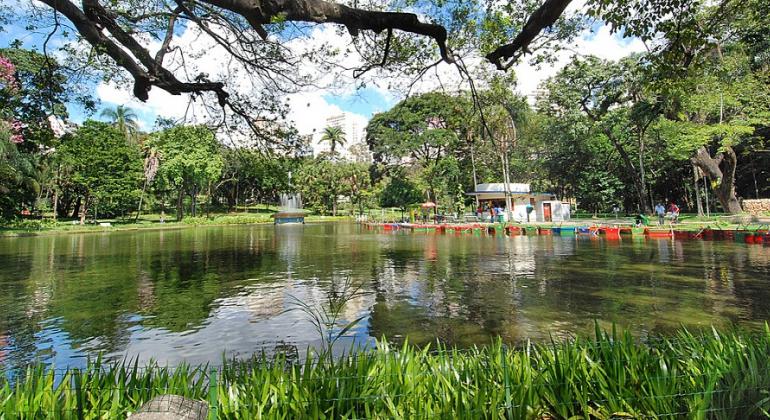 Detalhe de lago do Parque Municipal Américo Renneé Gianneti, com galhos de árvores no alto.