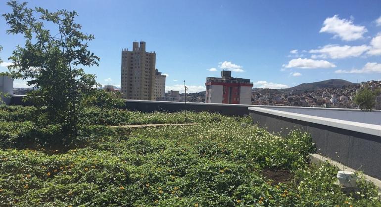 Telhado de construção com grama e plantas; ao fundo, prédios e céu azul.