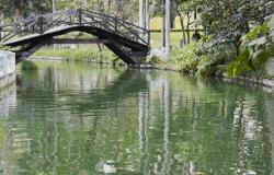 Lago do Parque Municipal Américo Renneé Giannetti com ponte para passagem de pedestres ao fundo. 