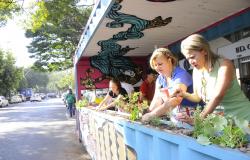 Duas mulheres plantam mudas em parklet instalado na Savassi. Cidadãos poderão cuidar e colher as plantas.